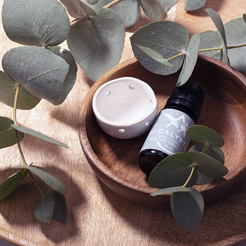 Saunum Aroma Oil Set Eucalyptus Aroma Oil with Reservoir, 10 mL